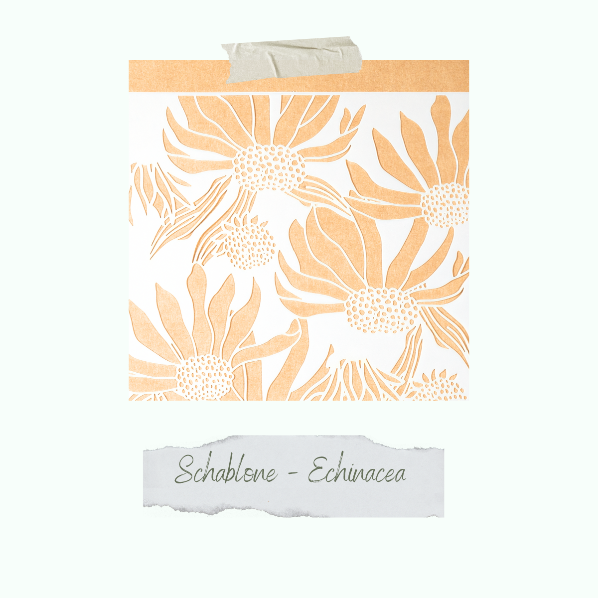 Schablone - Echinacea